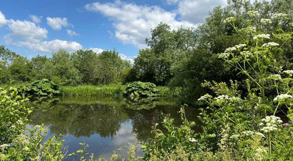 The Bank, Accessible accommodation in Herefordshire, lakeside retreat, fully accessible holiday