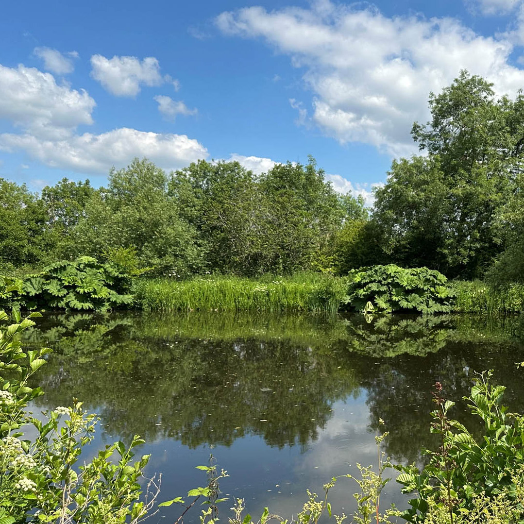 The Bank, Accessible accommodation in Herefordshire, lakeside retreat, fully accessible holiday